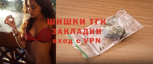 a pvp Бородино