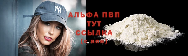 a pvp Бородино