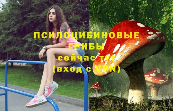 скорость Бугульма