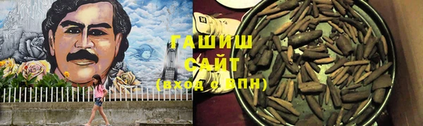 a pvp Бородино